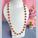 Mahavir Gold Plated Mala