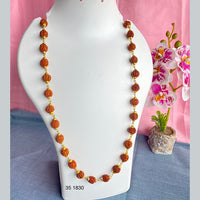 Mahavir Gold Plated Mala