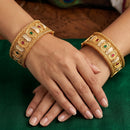Js Fashion  Antique Jewelley High Gold Polish Gorgeous Designs for a Touch of Tradition Bangles Set