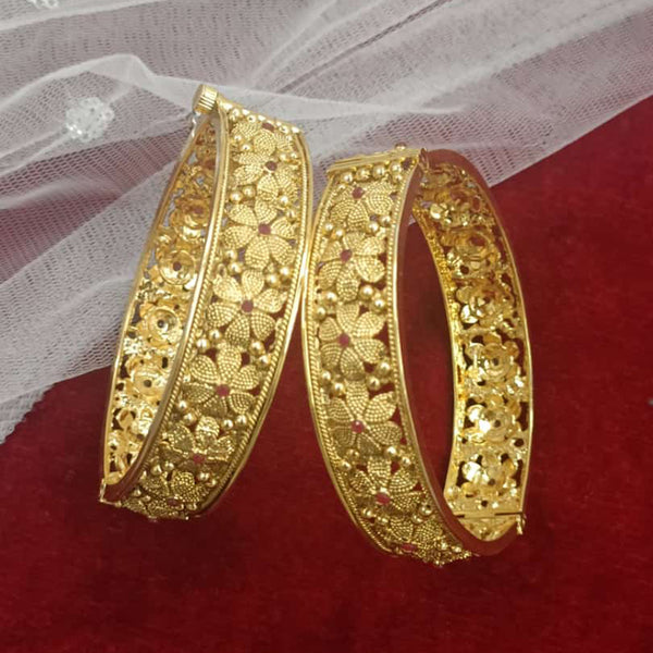Exotica Collection Gold Plated Pota Stone Openable Kada