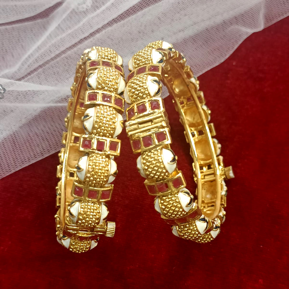 Exotica Collection Gold Plated Pota Stone Openable Kada