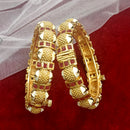 Exotica Collection Gold Plated Pota Stone Openable Kada