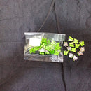 Kriaa Beads Delicate Butterfly Charm Pendant for Jewelry Making
