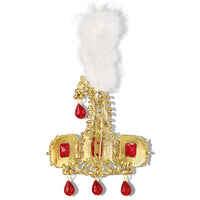 Mahi Premium Groom Kalangi for Wedding | Gold-Plated with Red White Crystals & Feather | Men’s Safa Pagdi Brooch | Rajputi Maharaja Style Turban Pin (KL1001026GRed)