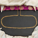 Js Fashion Premium High Gold Traditional Pota Stone Kamarbandh