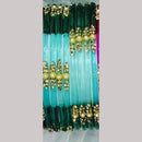 Chitra Bangles Multi Color Glass Bangle (12 Piece In 1 Box)