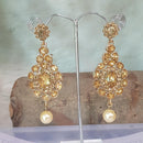 Shreeji Gold Plated Dangler Earrings Earrings