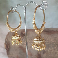 Shreeji Gold Plated Jhumki Earrings