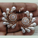 Jain Jewellers Ad Stone Dangler Earrings