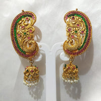SNERA Gold Plated Pota Stone Jhumkis Earrings