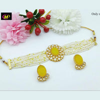 FS Collection Kundan Stone Gold Plated Choker Necklace Set