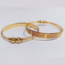 FS Collection Gold Plated Openable Kada