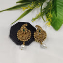 FS Collection Gold Plated Pota Stone Dangler Earrings