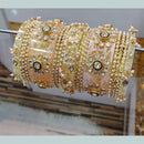 FS Collection Acrylic Bangles Set