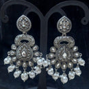 Infinity Jewels Oxidised Plated Pota Stone Dangler Earrings