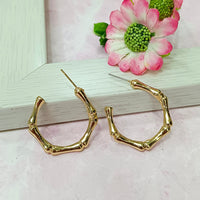 Infinity Jewels Gold Plated Hypoallergenic Nickel Free Hoop Earrings