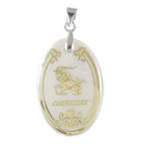 Tip Top Fashions Capricorn Zodiac Round Rhodium Plated Shell Pendant - 1201301