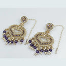 Rani Sati Jewels Gold Plated Crystal Stone Dangler Earrings