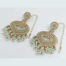 Rani Sati Jewels Gold Plated Crystal Stone Dangler Earrings