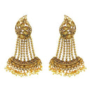 Kriaa Brown Austrian Stone Gold Plated Dangler Earrings - 1310535A