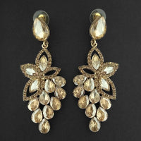 Kriaa Brown Crystal Stone Dangler earrings - 1315612
