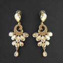 Kriaa Brown Crystal Stone Dangler earrings - 1315615