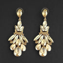 Kriaa Brown Crystal Stone Dangler earrings - 1315623