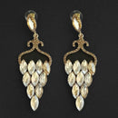 Kriaa Brown Crystal Stone Dangler earrings - 1315630