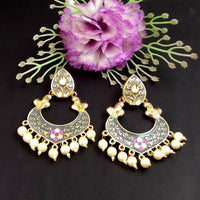 PARSHWAM Grey Glossy Meenakari Pearl Drop Jhumki