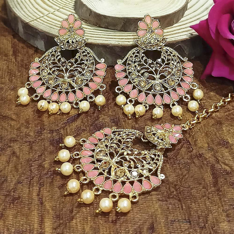 Adi Gold Plated Grey Kundan And Stone Earrings With Maang Tikka  - 1319212E