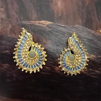 Adi Gold Plated Red Meenakari And Austrian Stone Stud Earrings  -  1319238A