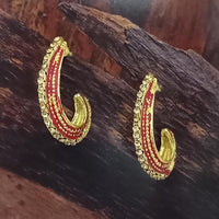 Adi Gold Plated Red Meenakari And Austrian Stone Stud Earrings  -  1319240A