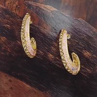 Adi Gold Plated Red Meenakari And Austrian Stone Stud Earrings  -  1319240A