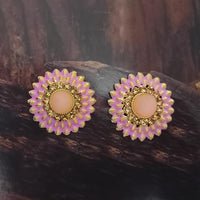 Adi Gold Plated Red Meenakari And Austrian Stone Stud Earrings  -  1319251A