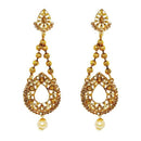 Kriaa Brown Austrian Stone  Dangler Earrings - 1309619