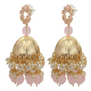 Mahi Beautifully Light Pink Emelled Pearl Drop Ethnic Floral Jhumka Earring for Women (ER1109821GLPin)