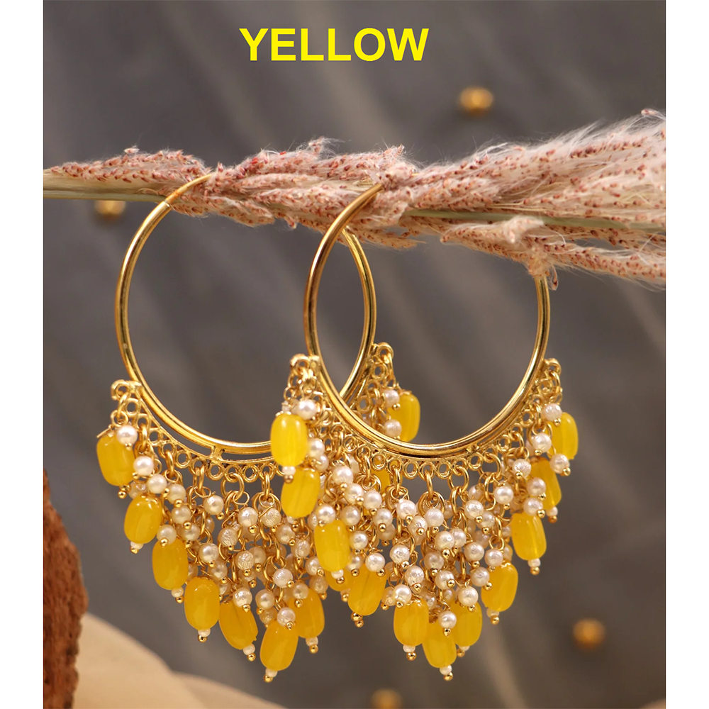 Mahavir Gold Plated Beads Dangler Earrings