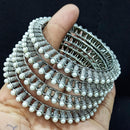Pooja Bangles Oxidised Stylish Bangles Set