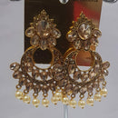 Shreeji Austrian Stone Gold Plated Dangler Earrings-ShreejiEar11