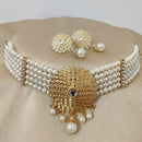 Vaamika Pota Stone & Beads Gold Plated Choker Necklace Set
